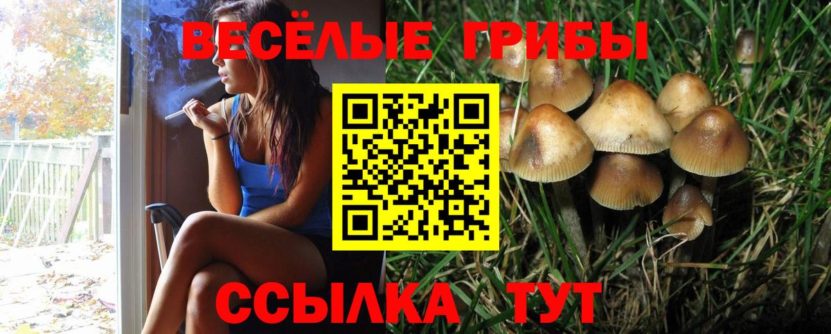 Ливны  Галлюциногенные грибы GOLDEN TEACHER  Вход с VPN  Псилоцибиновые грибы прущие грибы 